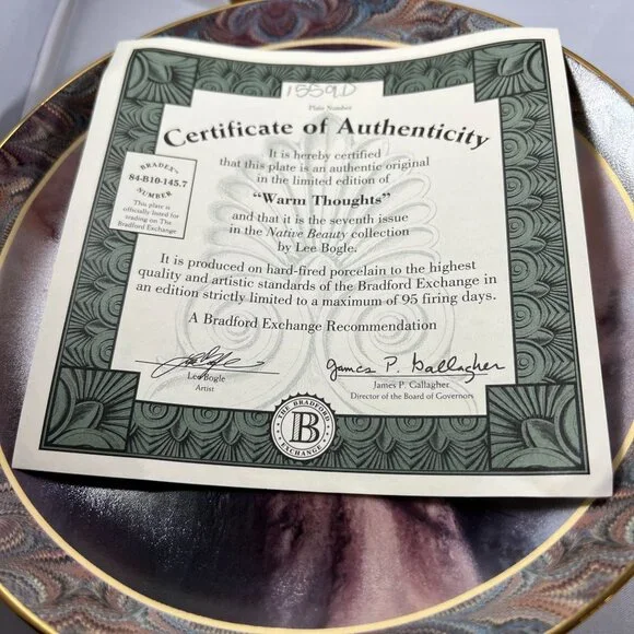 Set of 4 Plates Bradford Exchange - Native Beauty - Native American Inspired - W - Picture 9 of 10